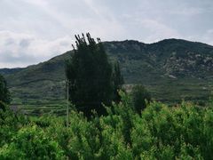 -沂蒙山旅游区云蒙景区(蒙山国家森林公园)