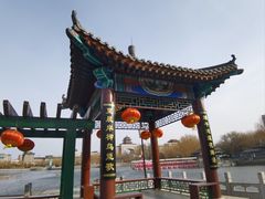 -莲花池公园
