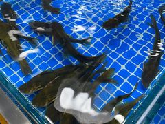 -三旗百汇商品城