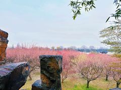 -苏州上方山国家森林公园