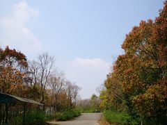 -上海海湾国家森林公园