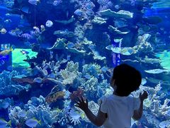 -左海海底世界