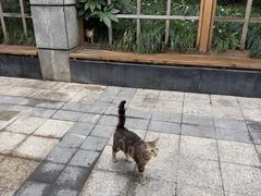 -陈记甜品窝(中山北路店)