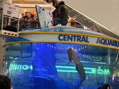 -尚泰清迈机场购物中心