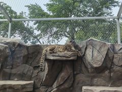 -青藏高原野生动物园