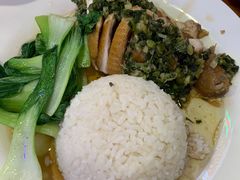 姜葱豉油鸡饭-澳门陈光记烧味饭店(南京德基广场店)