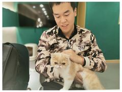 -飞行喵MR PILOT|猫舍·猫咖(静安大融城店)