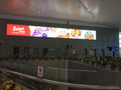 -温州龙湾国际机场