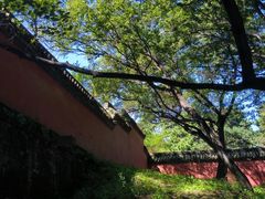 -北陵公园