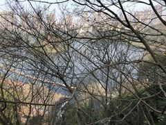 -重庆彩云湖湿地公园
