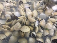 -顺德哥卜卜贝(旗舰店)