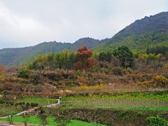 -塔川景区