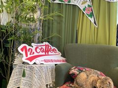 -72 COFFEE(东朝阳路店)