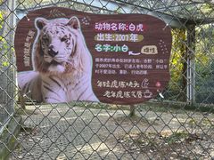 -合肥野生动物园