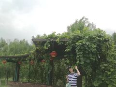 -莫子山公园