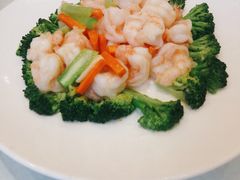 清炒虾仁-双井轩(双井店)