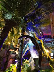 -恐龙探索乐园(磁器口店)