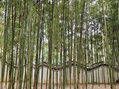 -柳侯公园