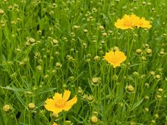 -白鹭湾湿地公园