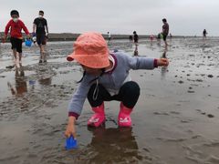 -南汇嘴观海公园