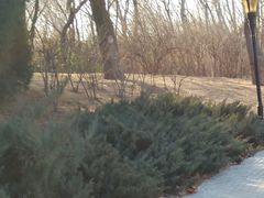 -北京亚布洛尼朝阳公园滑雪场