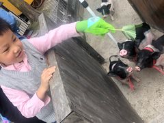 -前小桔亲子创意农场·草莓采摘·露营烧烤