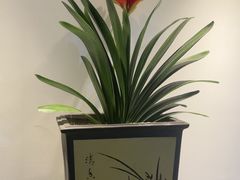 -食悦江南·淮扬菜·烤鸭(亚运村·惠新店)