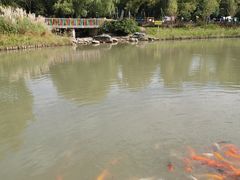 -嘉北郊野公园