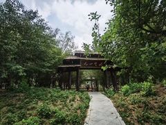 -滕州微山湖红荷湿地景区