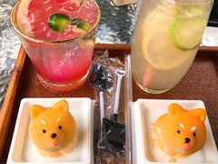 -柴犬高等学院·狗咖·柴犬售卖·宠物训练