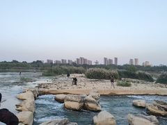 -绿堤公园