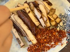 -龙翔山庄雷鸡肉(青城后山泰安古镇店)