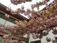 -寿山福海养老服务中心(石景山院)