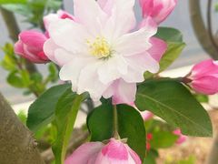 -北京大学(昌平校区)