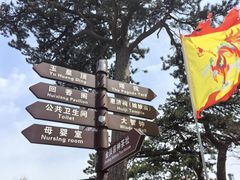 -妙峰山风景名胜区