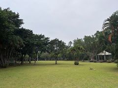 -万绿园