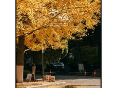 -辽宁大学(崇山校区)