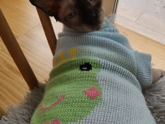 -李小姐の猫咖啡馆(五角场店)