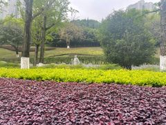 -龙头寺公园