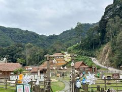 -龙岩森林水乡景区