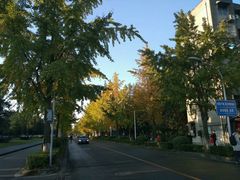 -四川大学(望江校区)