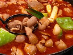 肠子火锅-湘肠香火锅店(团结湖店)