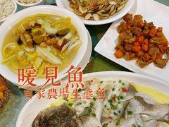 -暖见鱼·自家农场生态鱼
