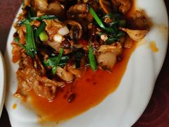 -灯盏窝饭店(新都分店)