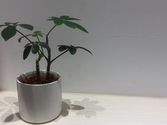 -Onirii Coffee(长乐路店)
