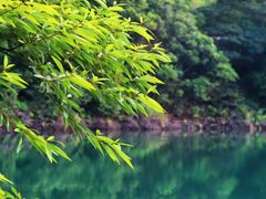 -东莞观音山旅游风景区