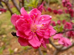 -南宁花花大世界景区