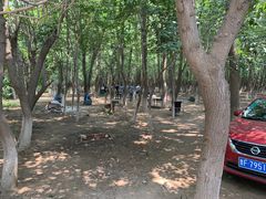 -亲兄弟真人CS团建拓展基地
