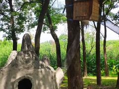 -昆山城市生态森林公园