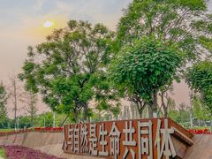 -桂溪生态公园